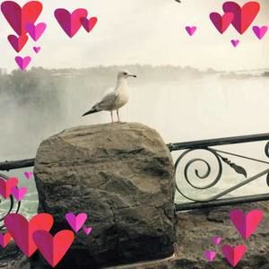 Meet your Posher, Tina